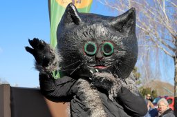 Narrentreiben 2025 (Fotos Rochus Hetzendorfer)